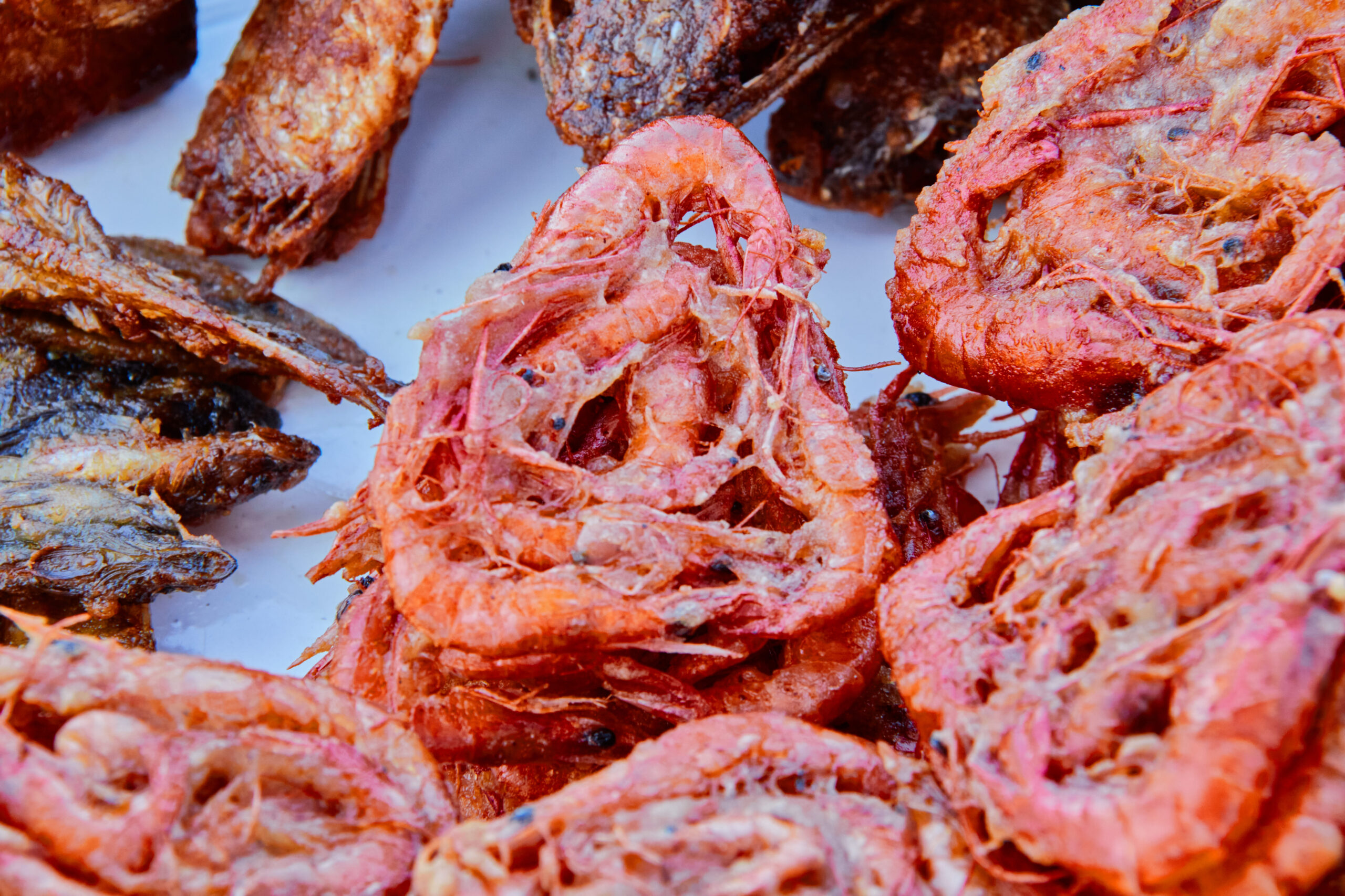 Destinations sur la côte Est