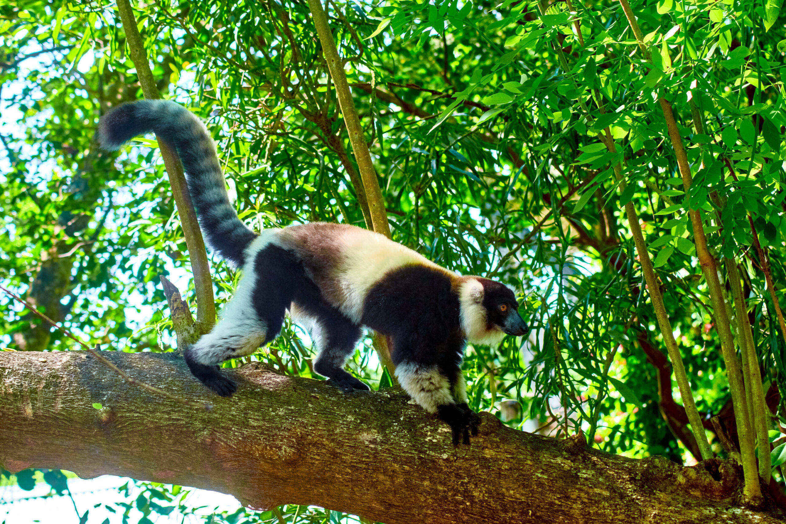 Destinations sur la côte Est