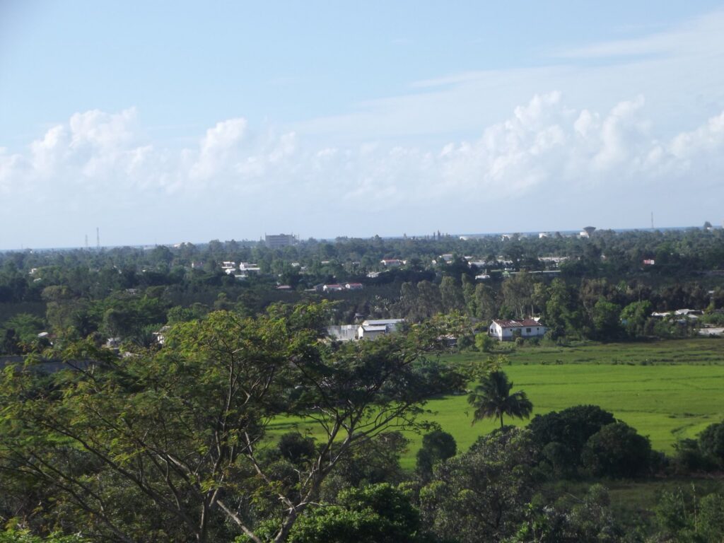 Farafaty à Toamasina