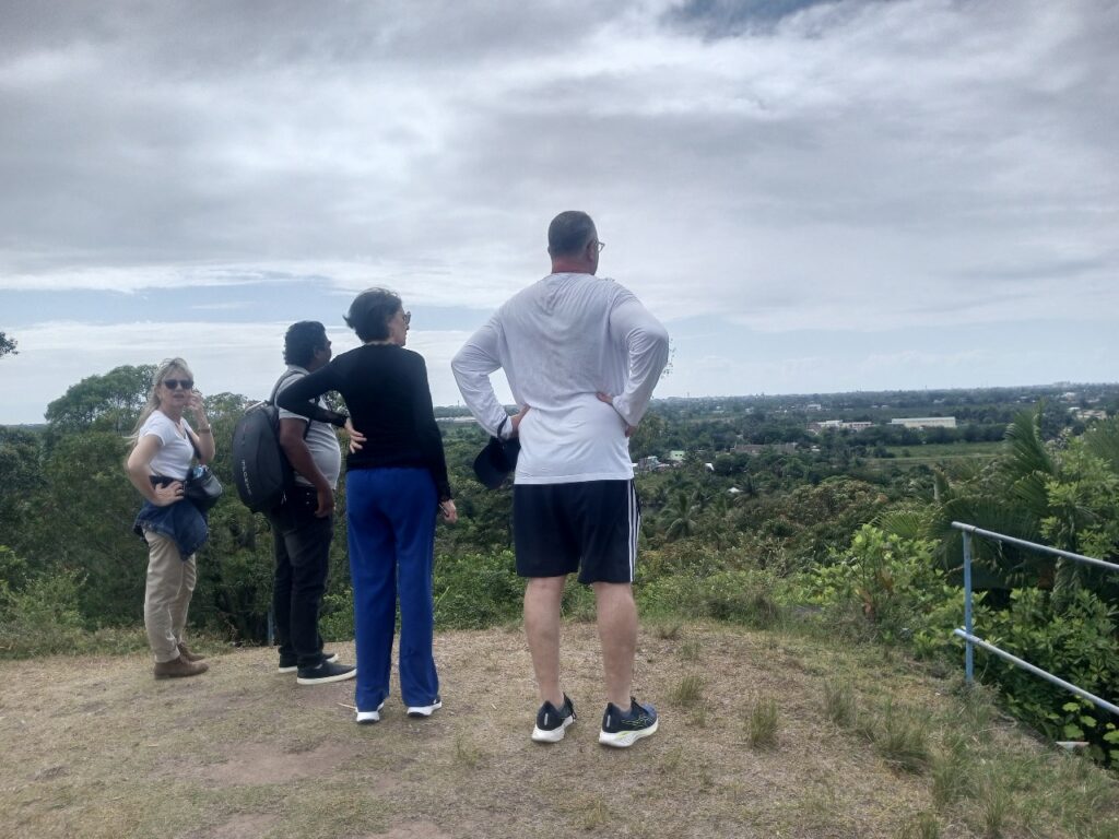 Farafaty à Toamasina