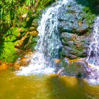 Sites sur la côte Est